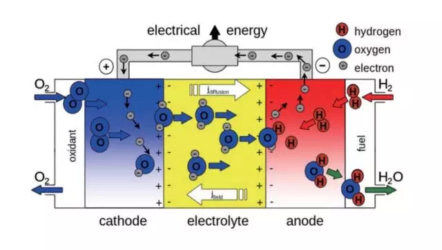 editor1533130241161203.jpg 2.jpg