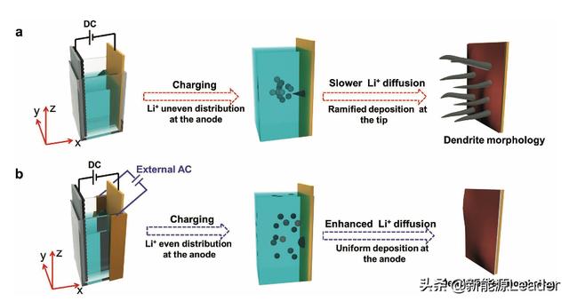 editor1552281517868918.jpg 01.jpg